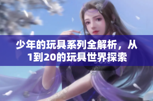 少年的玩具系列全解析，从1到20的玩具世界探索