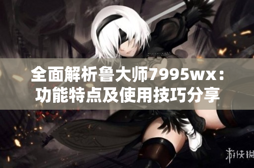 全面解析鲁大师7995wx：功能特点及使用技巧分享