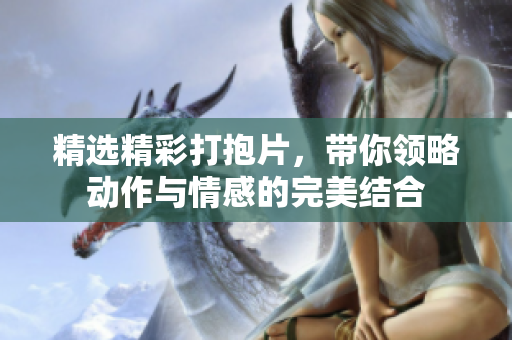 精选精彩打抱片，带你领略动作与情感的完美结合