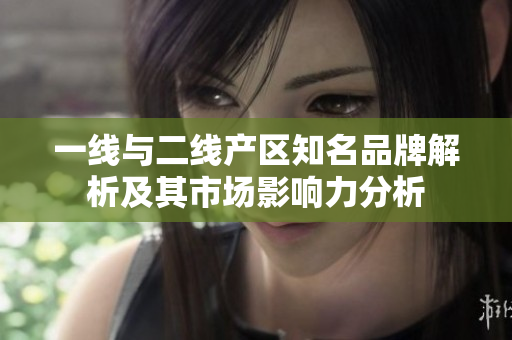 一线与二线产区知名品牌解析及其市场影响力分析