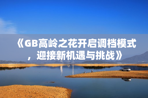 《GB高岭之花开启调档模式，迎接新机遇与挑战》