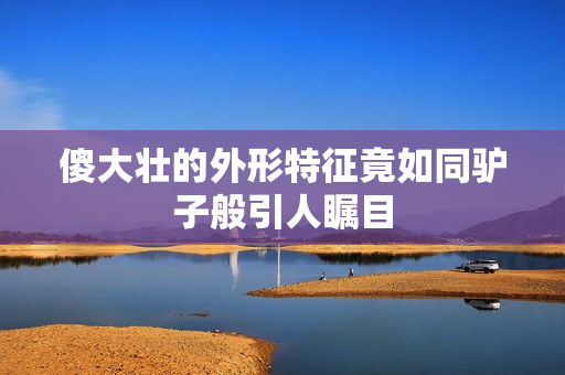 傻大壮的外形特征竟如同驴子般引人瞩目