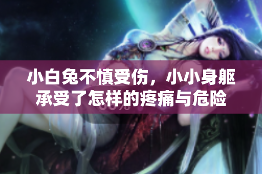 小白兔不慎受伤，小小身躯承受了怎样的疼痛与危险