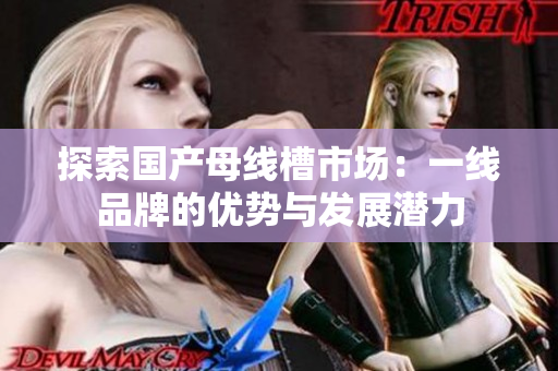 探索国产母线槽市场：一线品牌的优势与发展潜力