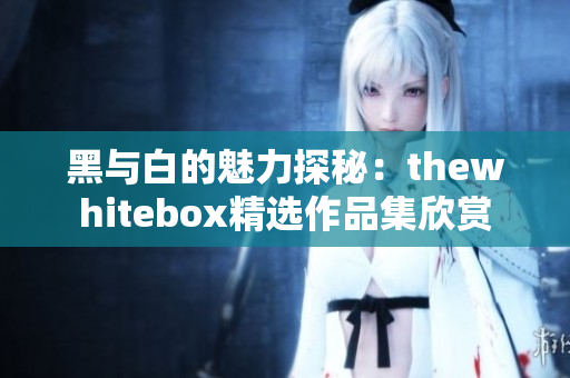 黑与白的魅力探秘：thewhitebox精选作品集欣赏