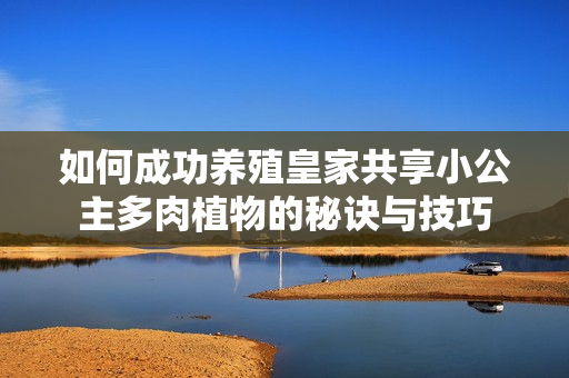 如何成功养殖皇家共享小公主多肉植物的秘诀与技巧