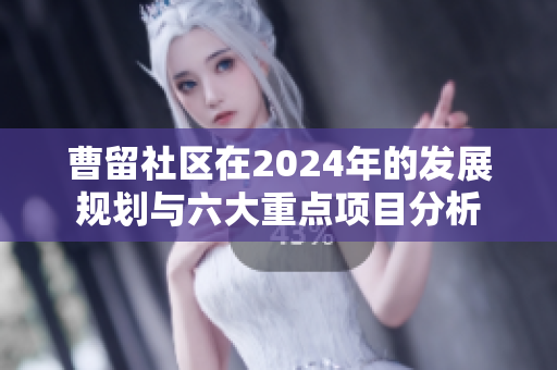 曹留社区在2024年的发展规划与六大重点项目分析