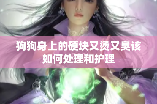 狗狗身上的硬块又烫又臭该如何处理和护理