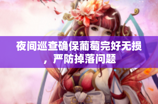 夜间巡查确保葡萄完好无损，严防掉落问题