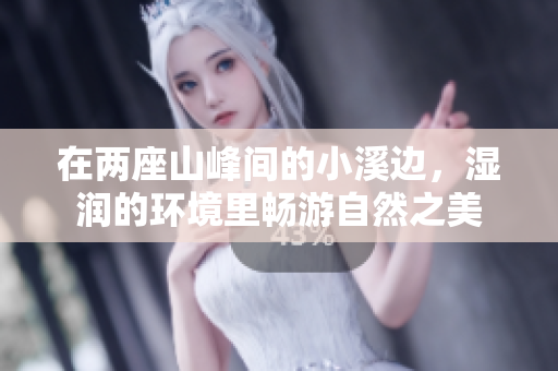 在两座山峰间的小溪边，湿润的环境里畅游自然之美