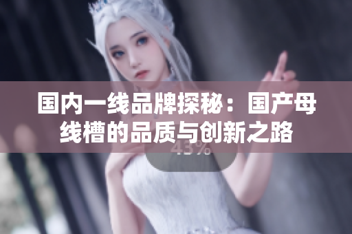 国内一线品牌探秘：国产母线槽的品质与创新之路