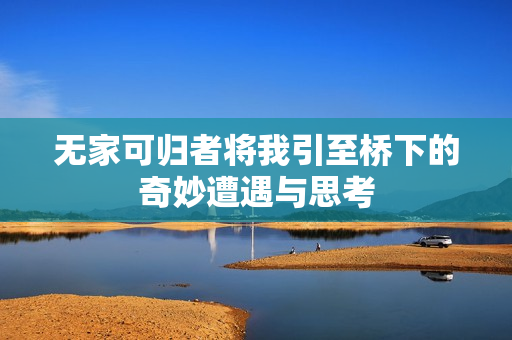 无家可归者将我引至桥下的奇妙遭遇与思考