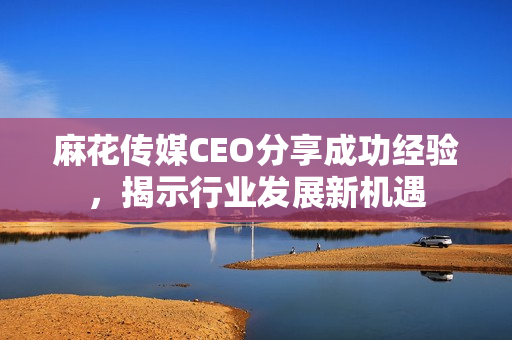 麻花传媒CEO分享成功经验，揭示行业发展新机遇