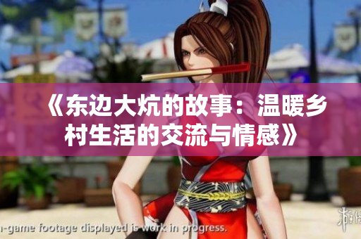 《东边大炕的故事：温暖乡村生活的交流与情感》