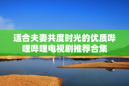 适合夫妻共度时光的优质哔哩哔哩电视剧推荐合集