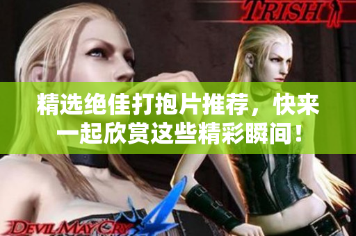 精选绝佳打抱片推荐，快来一起欣赏这些精彩瞬间！