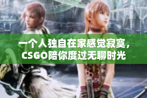 一个人独自在家感觉寂寞，CSGO陪你度过无聊时光