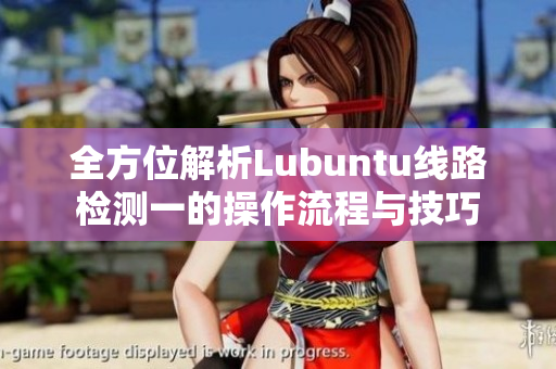 全方位解析Lubuntu线路检测一的操作流程与技巧
