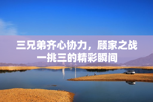 三兄弟齐心协力，顾家之战一挑三的精彩瞬间