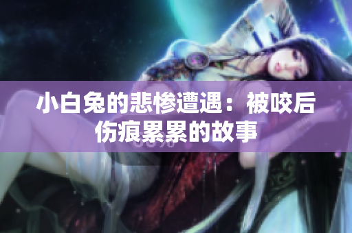 小白兔的悲惨遭遇：被咬后伤痕累累的故事