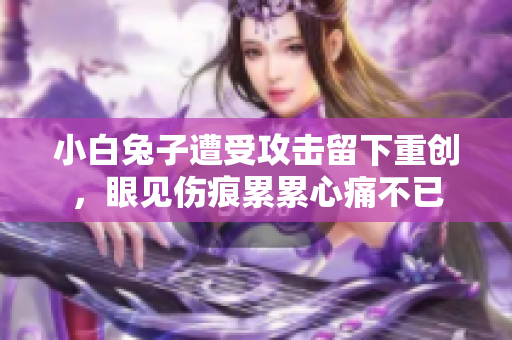 小白兔子遭受攻击留下重创，眼见伤痕累累心痛不已