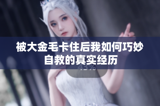 被大金毛卡住后我如何巧妙自救的真实经历