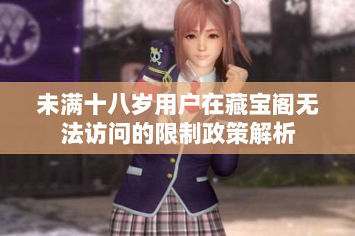 未满十八岁用户在藏宝阁无法访问的限制政策解析