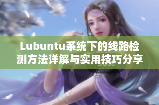 Lubuntu系统下的线路检测方法详解与实用技巧分享